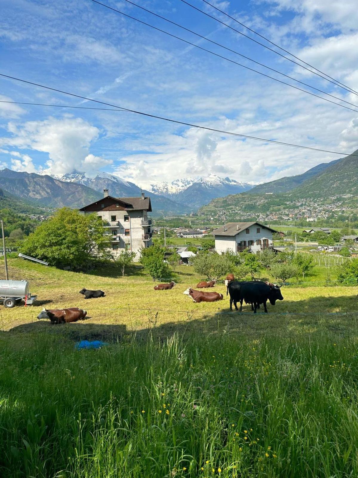 Maison Clair Vda Gressan N 0094 Aosta Værelse billede